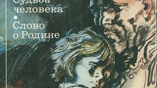 Ссылка кракен сайт зеркало