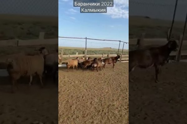 Кракен сайт дарк нет