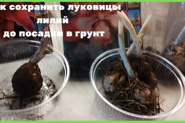 Кракен сайт kr2web in официальный ссылка