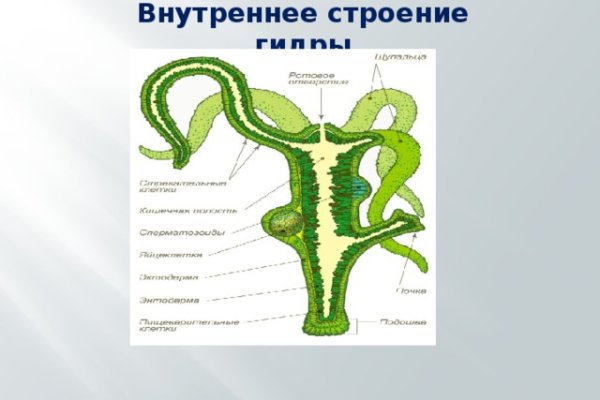 Ссылки зеркала на kraken