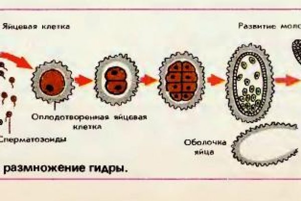 Что такое kraken в россии