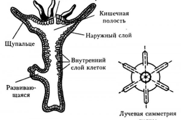 Кракен 15 ссылка