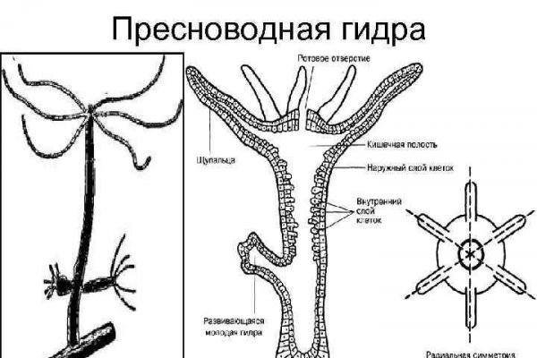 Каталог сайтов даркнет