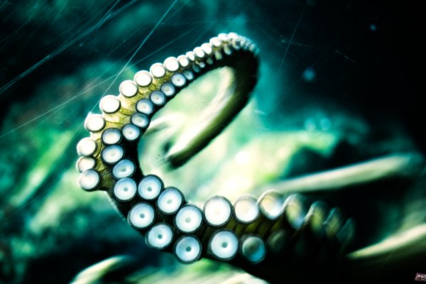 Кракен сайт 1kraken me