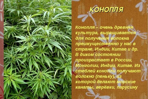 Пользователь не найден кракен